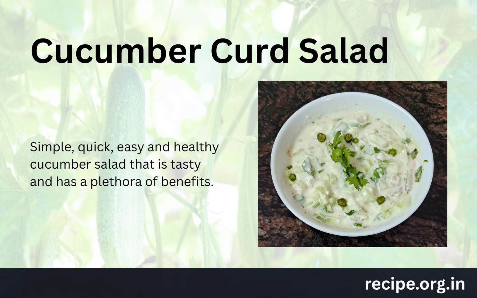 Cucumber Curd Salad